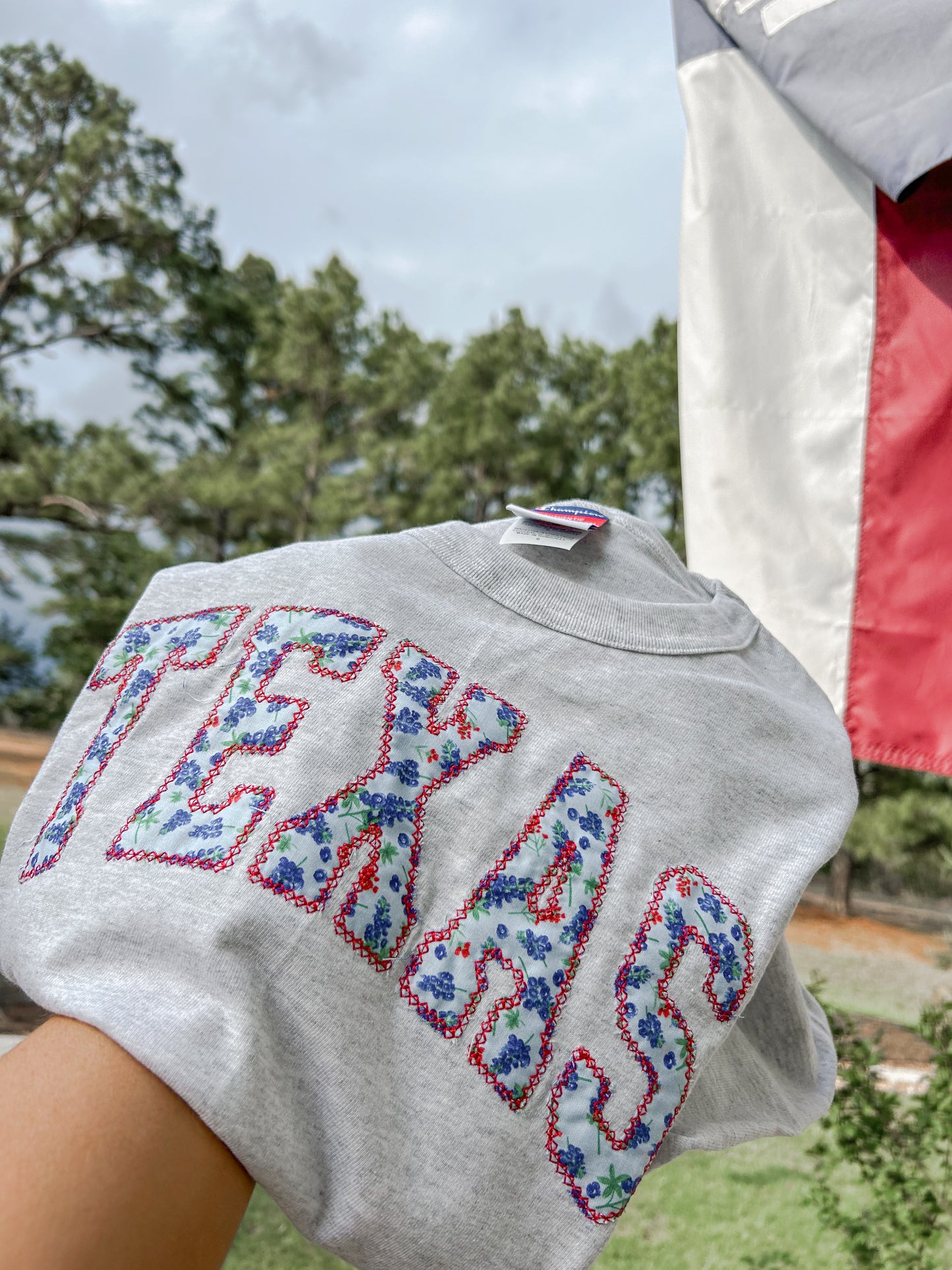 Texas Applique T-shirt