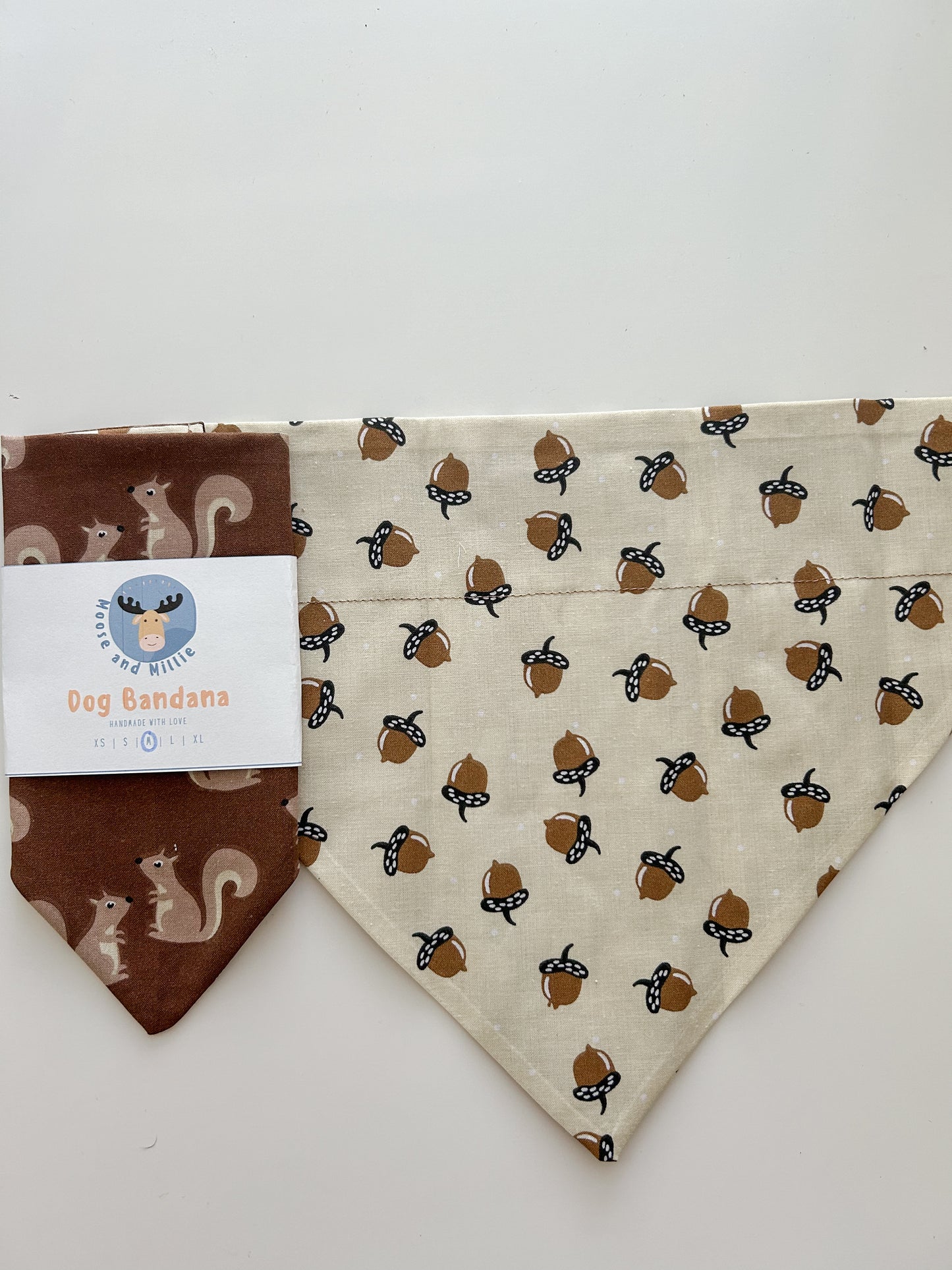 Squirrel! - Over the Collar Dog Bandana