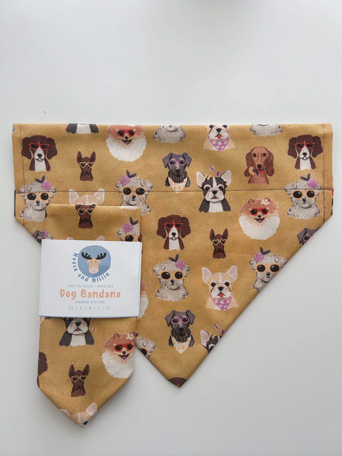 Golden Girls - Over the Collar Dog Bandana