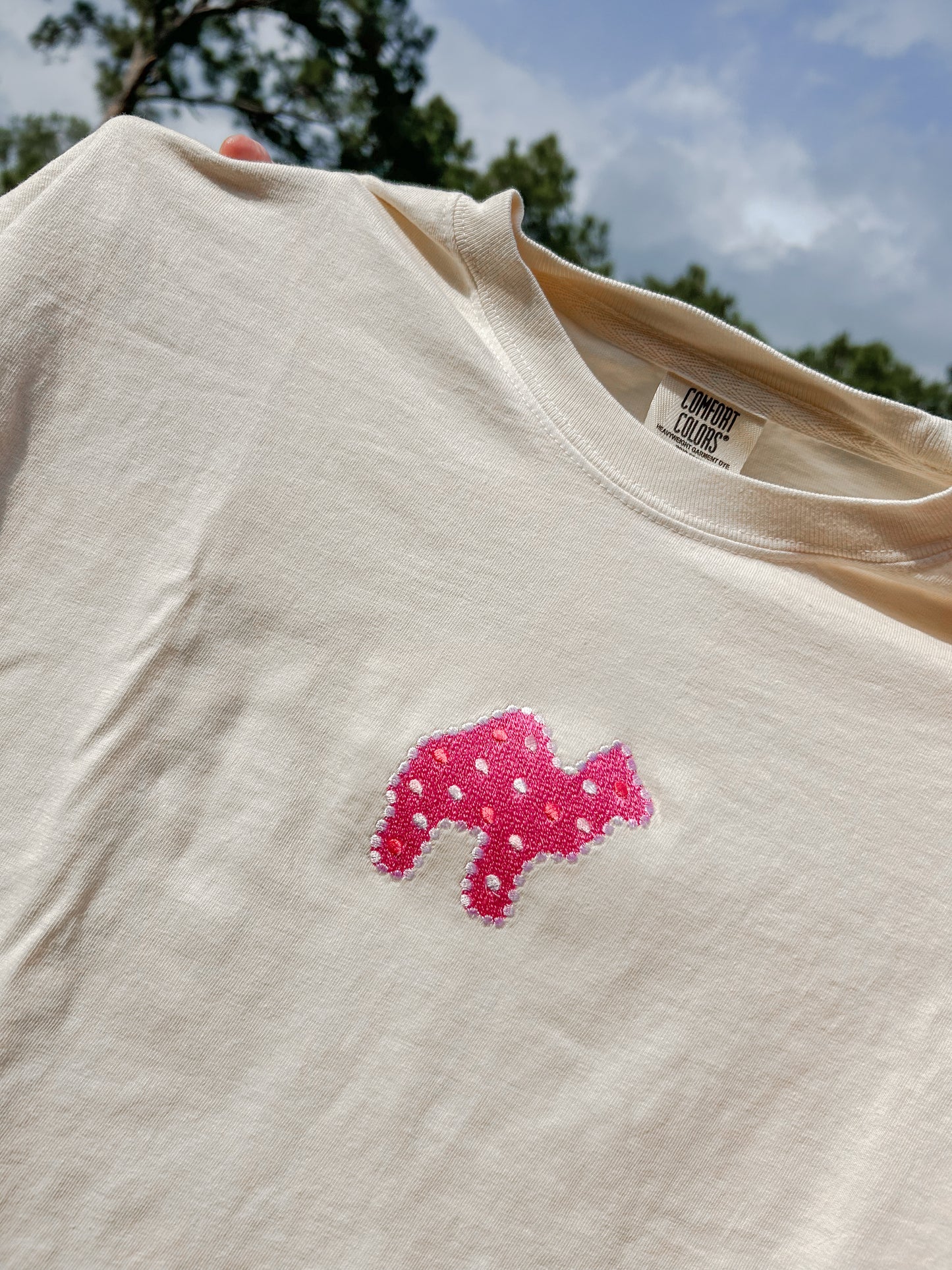 Circus Cracker Cropped T-shirt