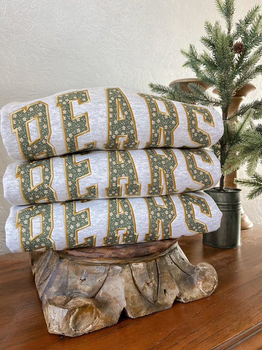 Bears Applique